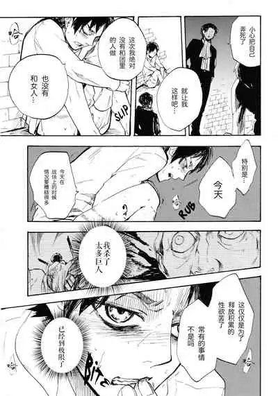 Shonen Knife | 少年的刀