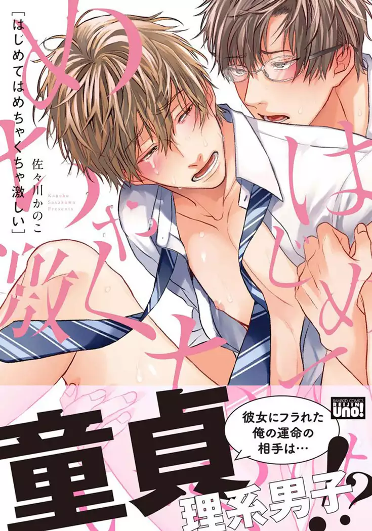 Hajimete wa Mechakucha Hageshii