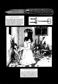 (C43) [The Garden (Itou Masaya)] Millbella Preview