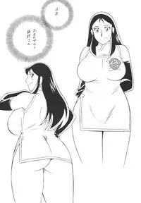 (CR33) [Rippadou (H-H)] H-H Soushuuhen 2 (Various)