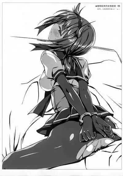 Boku-tachi no Danmaku ga Usui You na Ki ga Shimasu