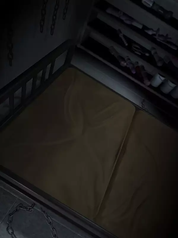 H.S.C. Illustration Collection Ex.4