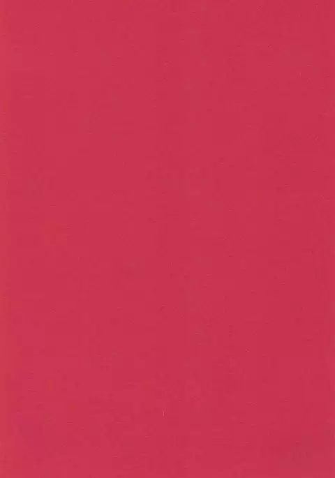 Musashi-san to Hime Hajime