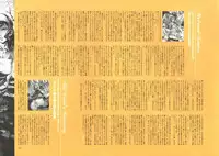 [Nishieda] Dendrobium (Decensored)