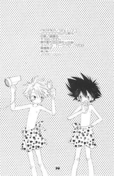 [PIKAPIKA (Takahashi Mako)] Hoshizora Touring Express (Digimon Adventure)