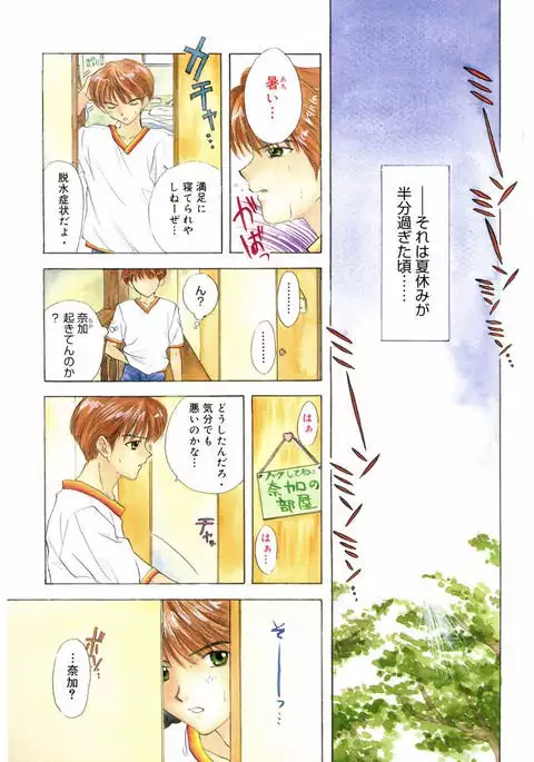 365★SUPER COLOR +PLUS