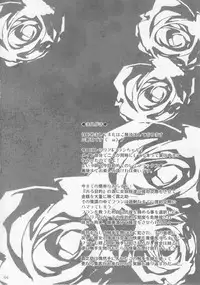 (C92) [MegaSoundOrchestra (Sanwaribiki)] Gensou Enkou -RandF- (Touhou Project)