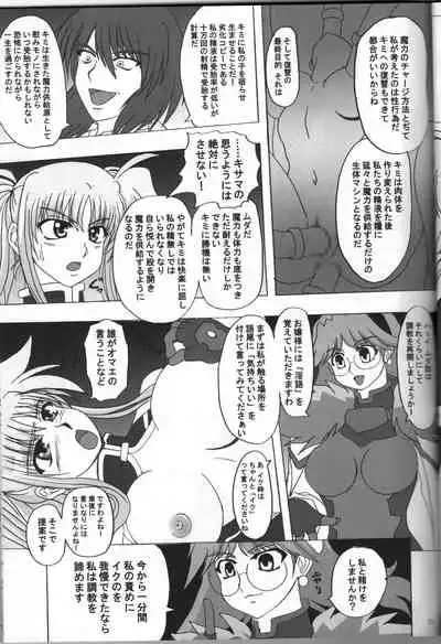 [Tekkyuu Chain (Kirimomi Shoot)] BREAK PHOENIX (Mahou Shoujo Lyrical Nanoha)