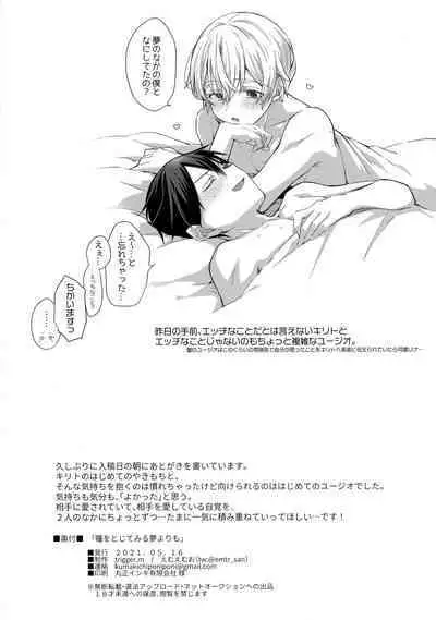 Hitomi o Tojite Miru Yume yori mo