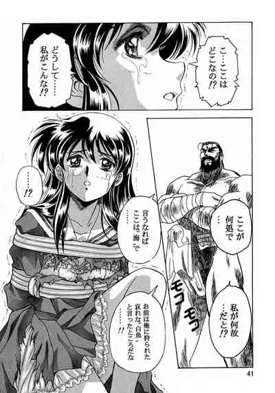 Henreikai Special Vol. 8