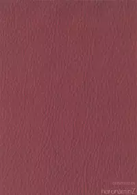 (COMIC1☆11) [horonaminZ (horonamin)] Korekara Watashi to...... Date Shimasen ka?