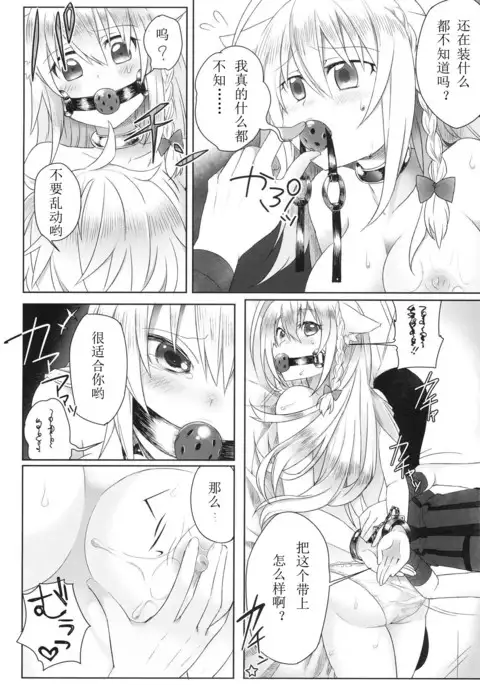 Hatsujou! Neko Hime Choukyou Sen!?