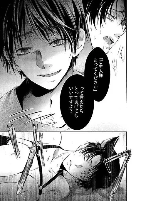 Futago neko hiroimashita