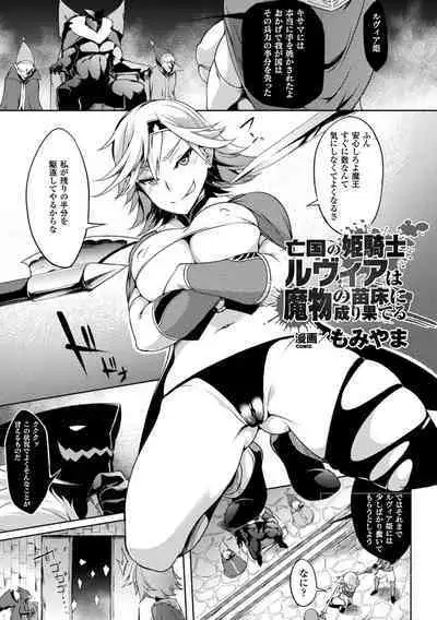 2D Comic Magazine Onna Kishi Naedokoka Keikaku Vol. 3