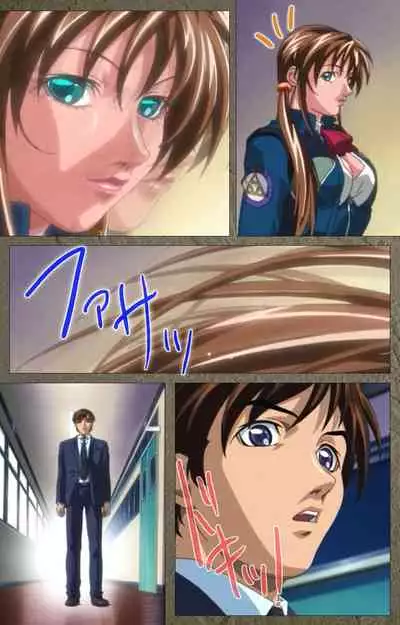 Shin Bible Black kanzenhan