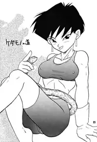 (C51) [Chirigami Goya, Fusuma go Ten (Shoji Hariko)] ZZZ (DRAGON BALL)