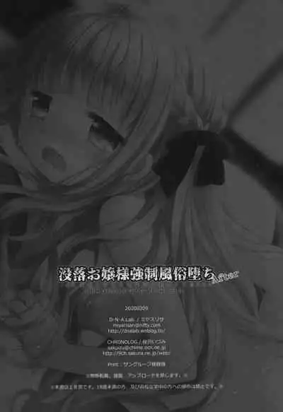 Botsuraku Ojou-sama Kyousei Fuuzoku Ochi After