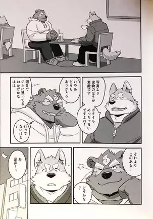 Tanuki to tanuki no bakashi ai