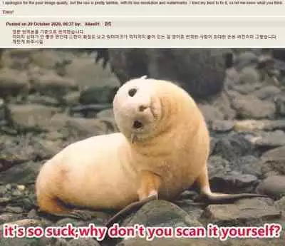 Floriography Seedling 2