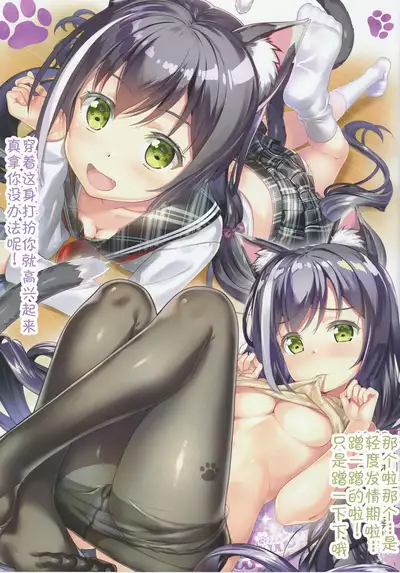 Bisyokuden no Full:Course