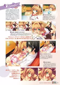 Zettai Series Visual Collection