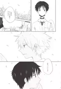 (C83) [KaitoB (Yutsuki Chito)] "Q" Hokankeikaku (Neon Genesis Evangelion)