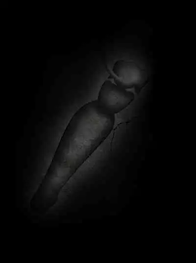 Pathetic Life（有条色狼汉化）