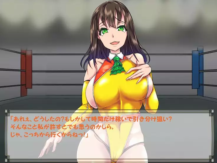 ドMプロレス2 画像集