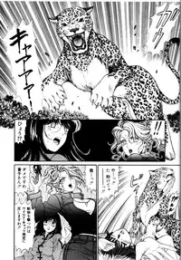 [Kobayashi Takumi] Wild Cats