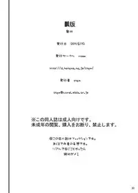 [ROAM (stem)] Gensou-kyou kara Dasasete Itadakimashita (Touhou Project) [Digital]