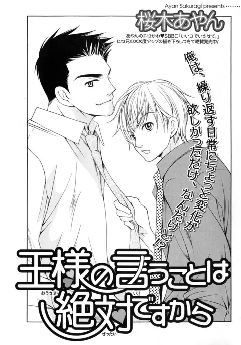 b-BOY Phoenix Vol.5 Bishonure Tokushuu