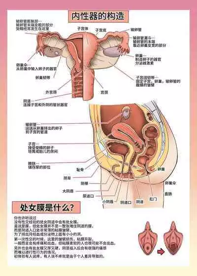Maid-san to Manabu Onnanoko no Karada