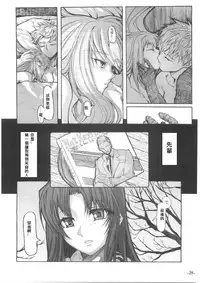 Fate/Final Fantasy(fate/stay night) (chinese)(xxx混合)