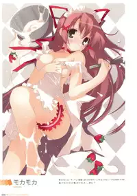 Hadaka Apron Visual Collection