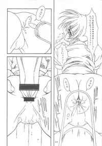 (C58) [AKKAN-Bi PROJECT (Yanagi Hirohiko)] DEAD WOOD (Dead or Alive)