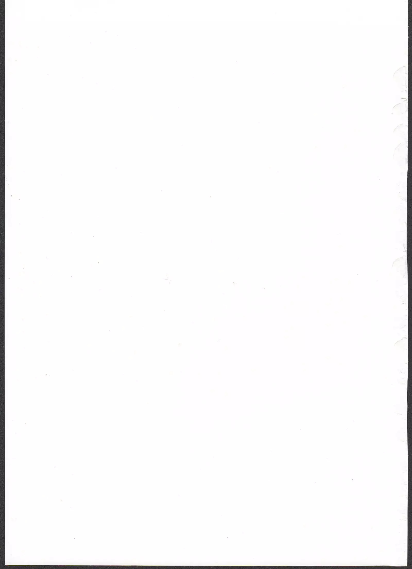 さんさんサニェ!