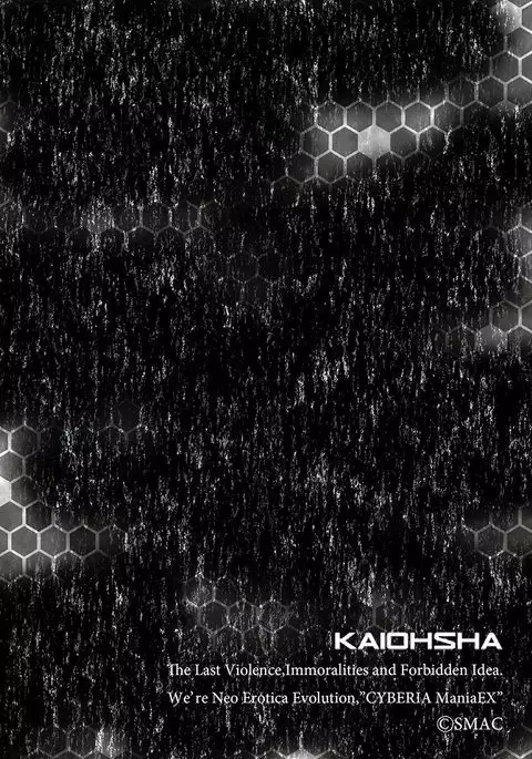 Cyberia Maniacs Chikan Ryoujoku Paradise Vol.1