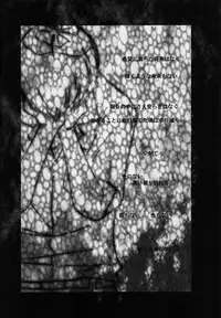 [RomeoCarax (Natsuhiko)] Shuujin no Jirenma (Neon Genesis Evangelion)