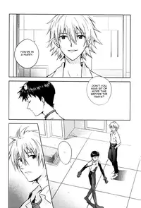 (CCTokyo123) [Cassino (Magarikoji Lily)] NO? (Neon Genesis Evangelion) [rational madness]