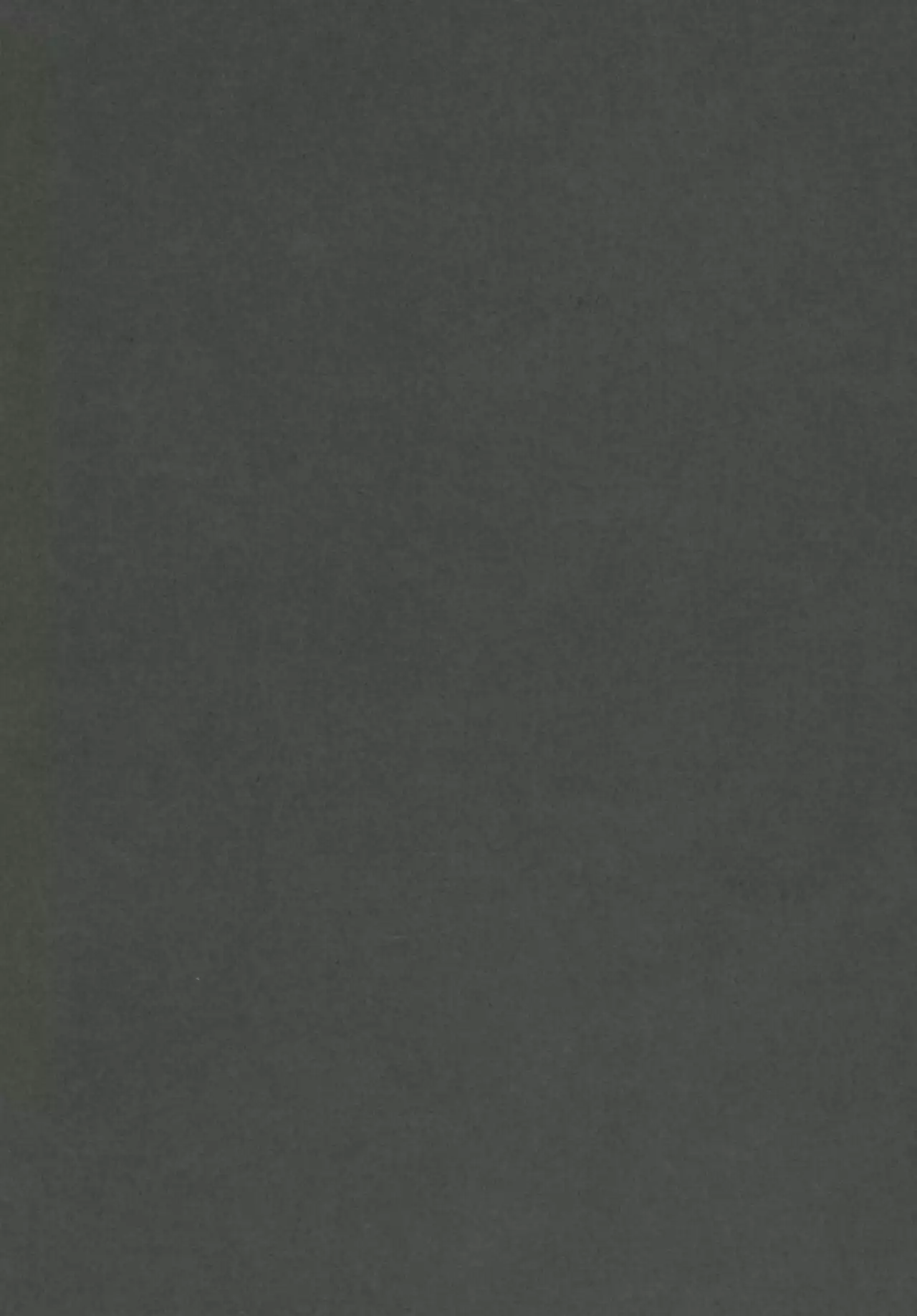 Futanari Lisha and Baby-Making Lisha