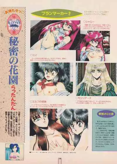 Bishoujo Seminar '93 DX Limited (Magazine Supplements)