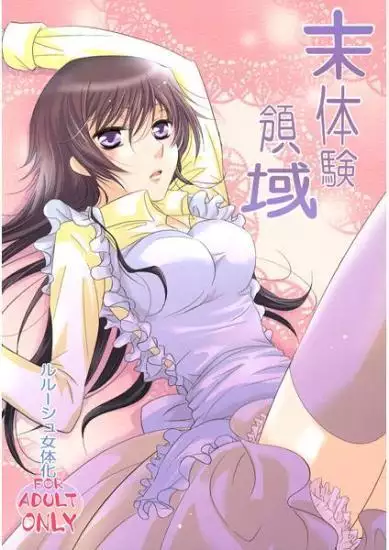 Mi taiken ryōiki sample