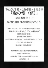 (C70) [RED RIBBON REVENGER (Hayama, Makoushi, Taireru)] Trouble Maker (To LOVE-Ru)