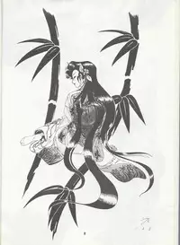 Studio DAST - SASA-NISHIKI SUPER-BLEND. 001.