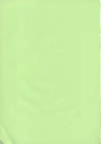 (C68) [Ambivalence (Minazuki Tsuyuha)] Sonic Somer (Eureka Seven)