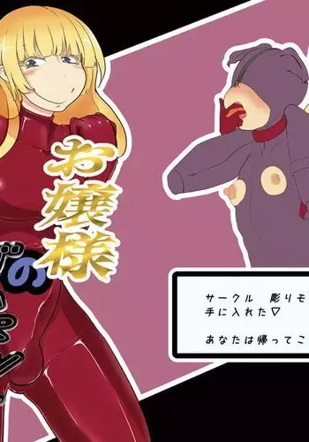 Ojou-sama no Gom Pet