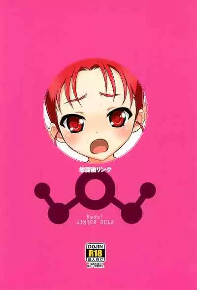 (C83) [Reds! (Aotsuki Hirotada) Houkago Link (Accel World)