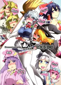 (C81) [Totsugasa, Drill Biyori (Various)] Touhou Junai Goudoushi ～Suzuran～ (Touhou Project)