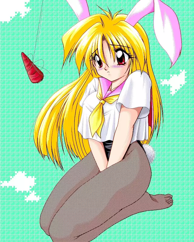 Sailor Bunny Gashuu Sono Ichi