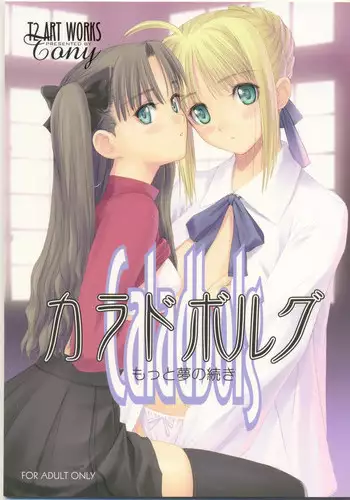 (C66) [T2 ART WORKS (Tony)] Caladbolg Motto Yume no Tsuzuki (Fate/stay night)